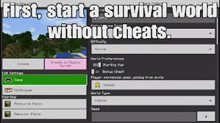 How to Get Achievements in Creative Mode (Bedrock Edition)