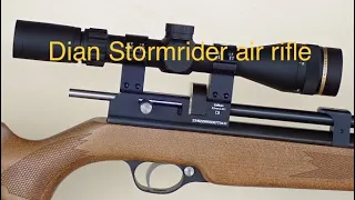 Diana stormrider air rifle