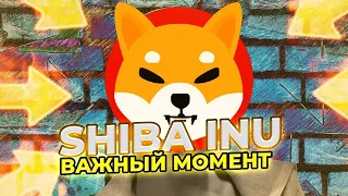 ПЕРЕВОРОТНЫЙ МОМЕНТ ДЛЯ SHIBA INU НАСТАЛ! ПОЧЕМУ SHIBA INU ПОКАЗЫВАЕТ РОСТ? НОВОСТИ SHIBA INU!