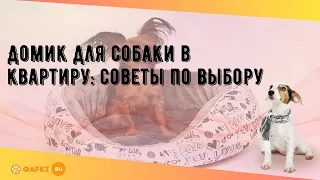 Домик для собаки в квартиру: советы по выбору