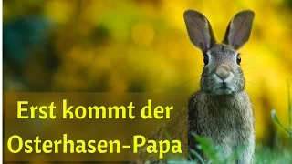 "Erst kommt der Osterhasen-Papa"