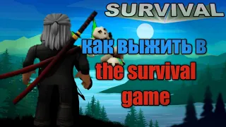 КАК ВЫЖИТЬ В The Survival Game ? ROBLOX The Survival Game