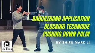 Baguazhang Pushing Down Palm Application