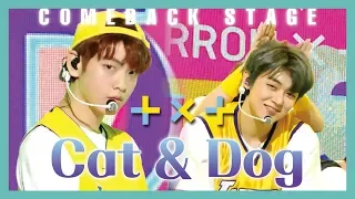 [HOT] TOMORROW X TOGETHER - Cat & Dog ,  투모로우바이투게더 - Cat & Dog  Show Music core 20190427