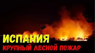 УЖАСНЫЕ КАДРЫ! Крупный лесной пожар в Испании стал причиной эвакуации курорта Малага 10 сентября
