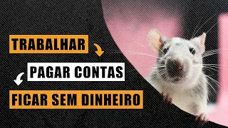 FUJA DA CORRIDA DOS RATOS!