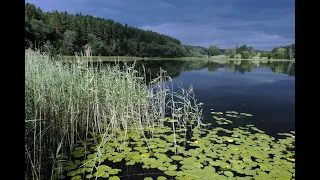 Paganamaa Võrumaal, Eesti (4K video)