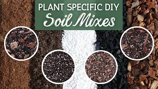 The Perfect Soil by Plant Type | Custom Soil Mix | Houseplant Soil Mix