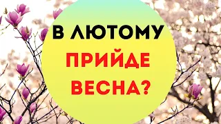 Хуртовина і "спека": синоптики розповіли, якої чекати аномалії в лютому