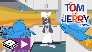 Die Tom & Jerry Show | Eine Spottdrossel | Cartoonito