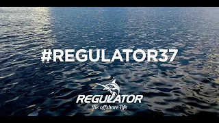 The All New Regulator 37 - Feature Callouts