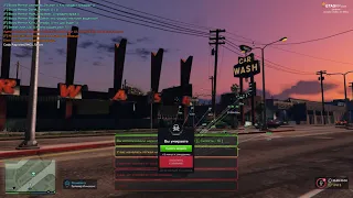 Слив фракции Bloods на проекте GTA 5 RP для подопытных крыс