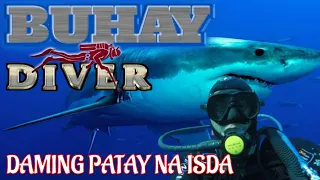 Daming Patay Na Isda | Divertech tv