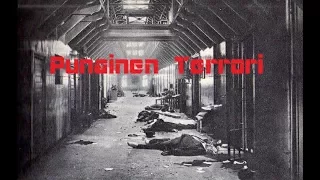 Sisällissota 1918 - Punainen terrori