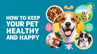 HOW TO MAKE YOUR PETS HEALTHY AND HAPPY