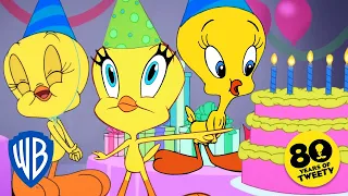 Looney Tunes | Happy Birthday Tweety!💛🎂 | @WB Kids