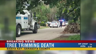 Tree worker killed in Siesta Key after touching live power line