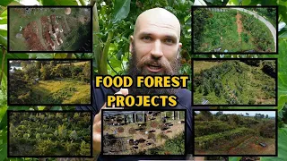 SECRETS to being a FOOD FOREST DESIGNER