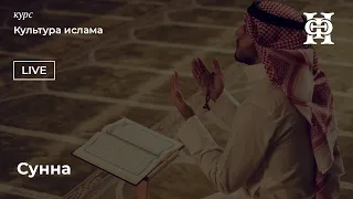 Сунна | лекция курса «Культура ислама»