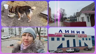 Мои выходные часть 1/Бабы то без мужиков справятся 😕