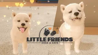 Adopting the best doggo in Little Friends 🐕💕