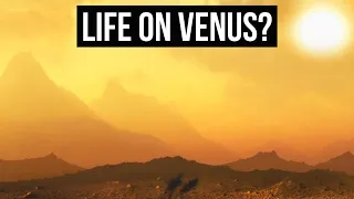 Did We Just Detect Life on Venus  Scientist Explain!