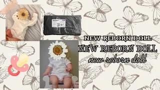 распаковка новых реборнов!🤍🦋/new reborn dolls😻✨