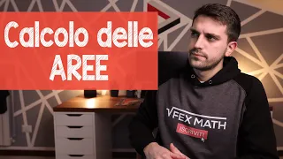 CALCOLO DELLE AREE - Integrali definiti