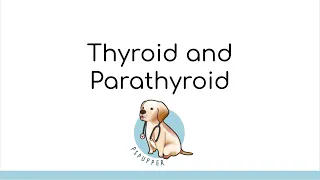 Endocrine Mini-Series (Part 2): Thyroid and Parathyroid