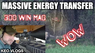 300 WIN MAG Meets Groundhog