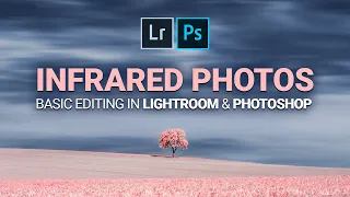 Basic Infrared Photo Editing with Lightroom & Photoshop