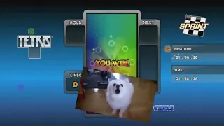 Gabe The Dog Tetris 10 Hours