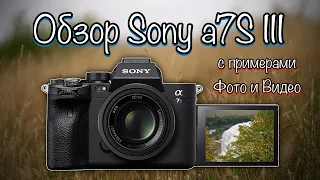 The Great Review of the Sony a7SIII with Photo and Video Samples