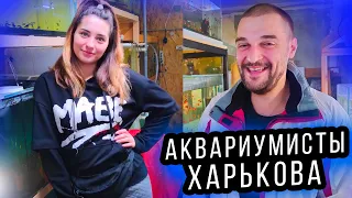 Алёнка МиниРазводня Харьков и Костя Крохмаль: эксклюзивное интервью! Аквариумисты Харькова!