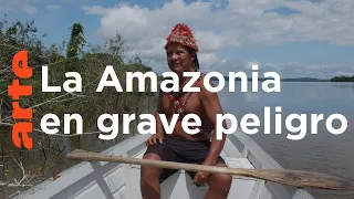 Brasil, el embalse que amenaza la Amazonia | ARTE.tv Documentales