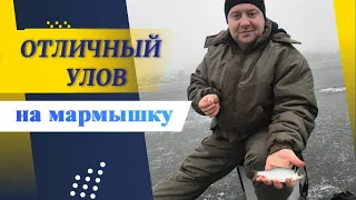 Отличный улов на мормышку. Перволёдка.