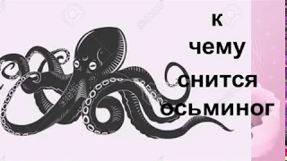 К чему снится осьминог .Сонник от Ирины