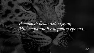 Русская литература. 8 класс. Урок № 5. Тема урока: "Романтический герой в поэме "Мцыри".