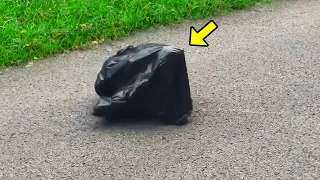 Woman Sees Bag Crawling Across The Road. When She Checks It, She Quickly Calls For Backup!
