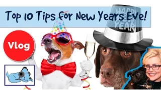 Top Ten Tips for Keeping Your Dog Happy on New Years Eve! WE HELP DOGS Scared of Fireworks!