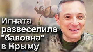 ⚡ Могу поинтересоваться, но вам не скажу! Игната развеселила "бавовна" в Севастополе