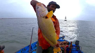 Mangroves Bottom Fishing From Ibrahim Hedri To Chan Creak | Phitti | Goli Fish