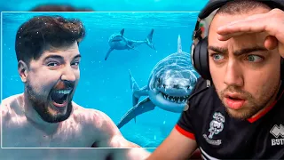 Mizkif Reacts To: "Would You Swim With Sharks For $100,000?"