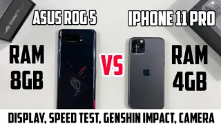 ASUS ROG Phone 5 vs iPhone 11 Pro | Display Speaker Gaming Speed Test Camera Video 4K