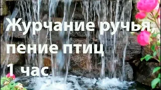 Звуки природы. Журчание ручья, пение птиц. 🐠 Красивый ручей 1 час. 🐠 Природный relax