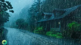 Sono PERFEITO com Barulho de Chuva, trovão e vento forte na Estrada Floresta - ASMR Chuva Torrencial