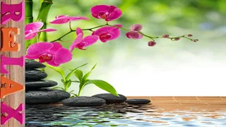 Relaxing Music for Meditation. Calm Background Music for Stress Relief, Sleep, Yoga, Massage♫197