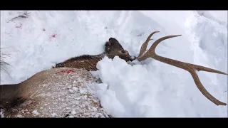 TEAM TOP PIN - 2020 Montana Elk Hunting Recovery