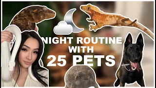 NIGHTTIME ROUTINE WITH 25 PETS