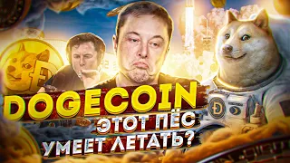 Dogecoin - собака астронавт или обычный щиток? История создания и причины роста монеты | Cryptus